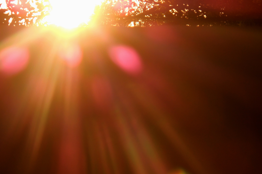 Lifting Vibration from Fear to Love