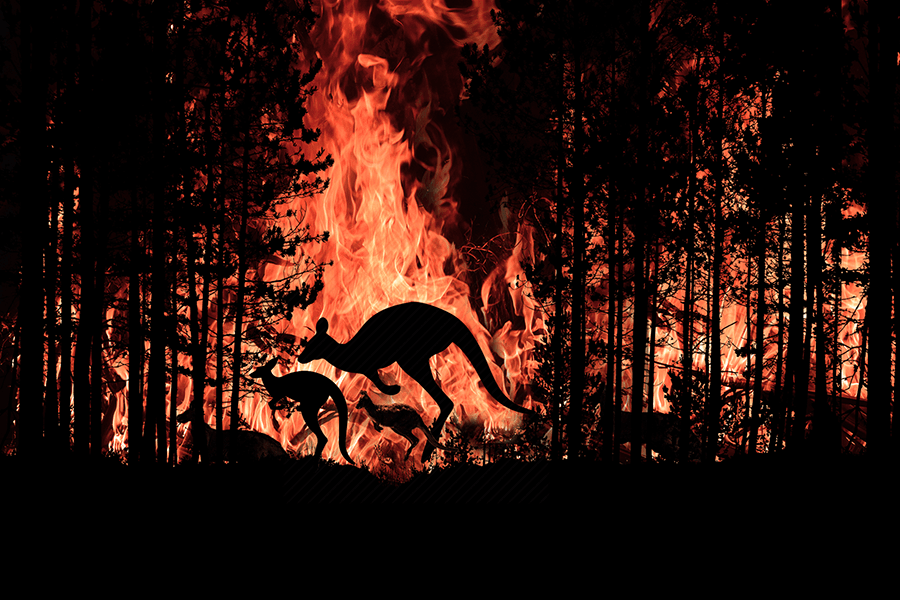 Australian Bushfires, what can Spiritual People Do?