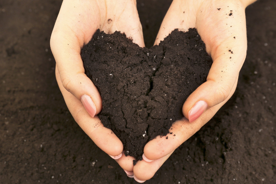 Sacred Activism For Earth Lovers