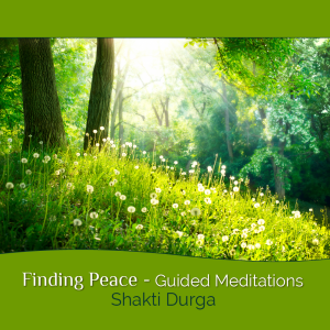 Finding Peace Guided Meditations Shakti Durga