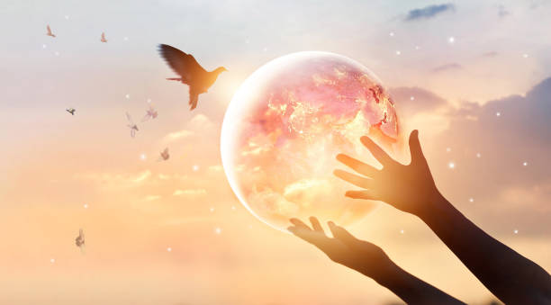 Podcast: Life Of A Mystic