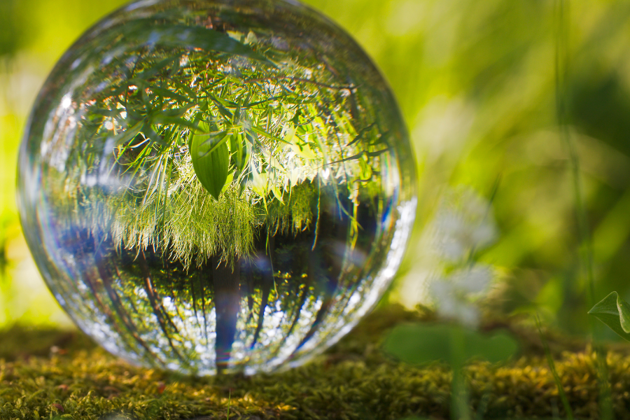 Podcast: Abundance in strange and unpredictable times