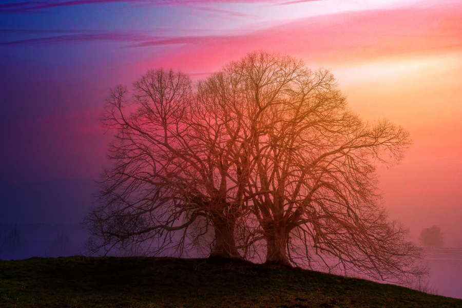 Podcast: Isolation, Solitude, and Connection