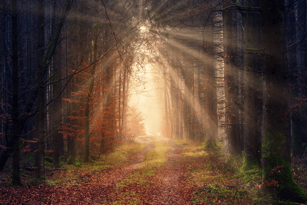 Finding Your Way…