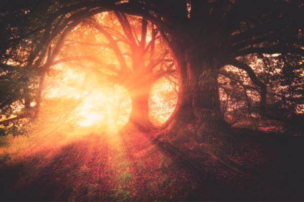 Entering The Unified Field through Humility