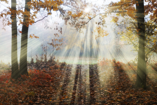The dangers of comparing yourself to others