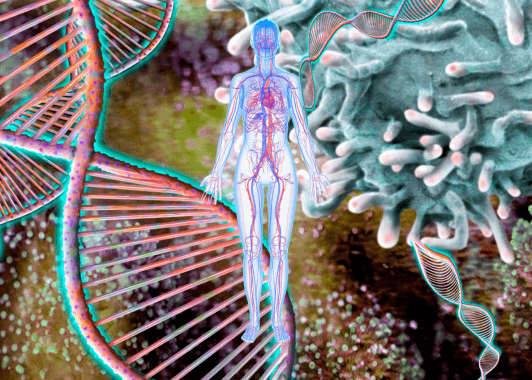 sp-Immune-system