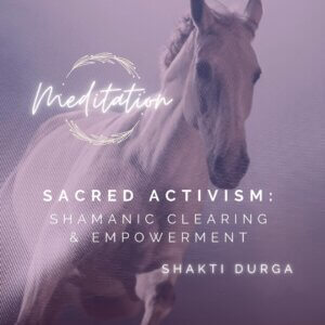 Sacred Activism - Shamanic Clearing & Empowerment
