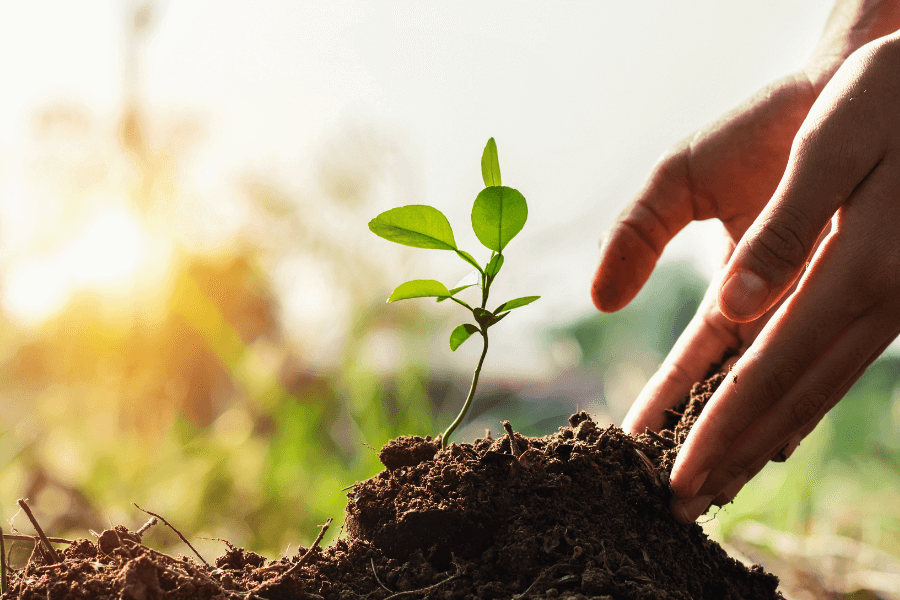 Podcast: Sacred Activism for Earth Lovers