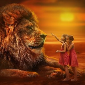 Animal Vision Group meditation