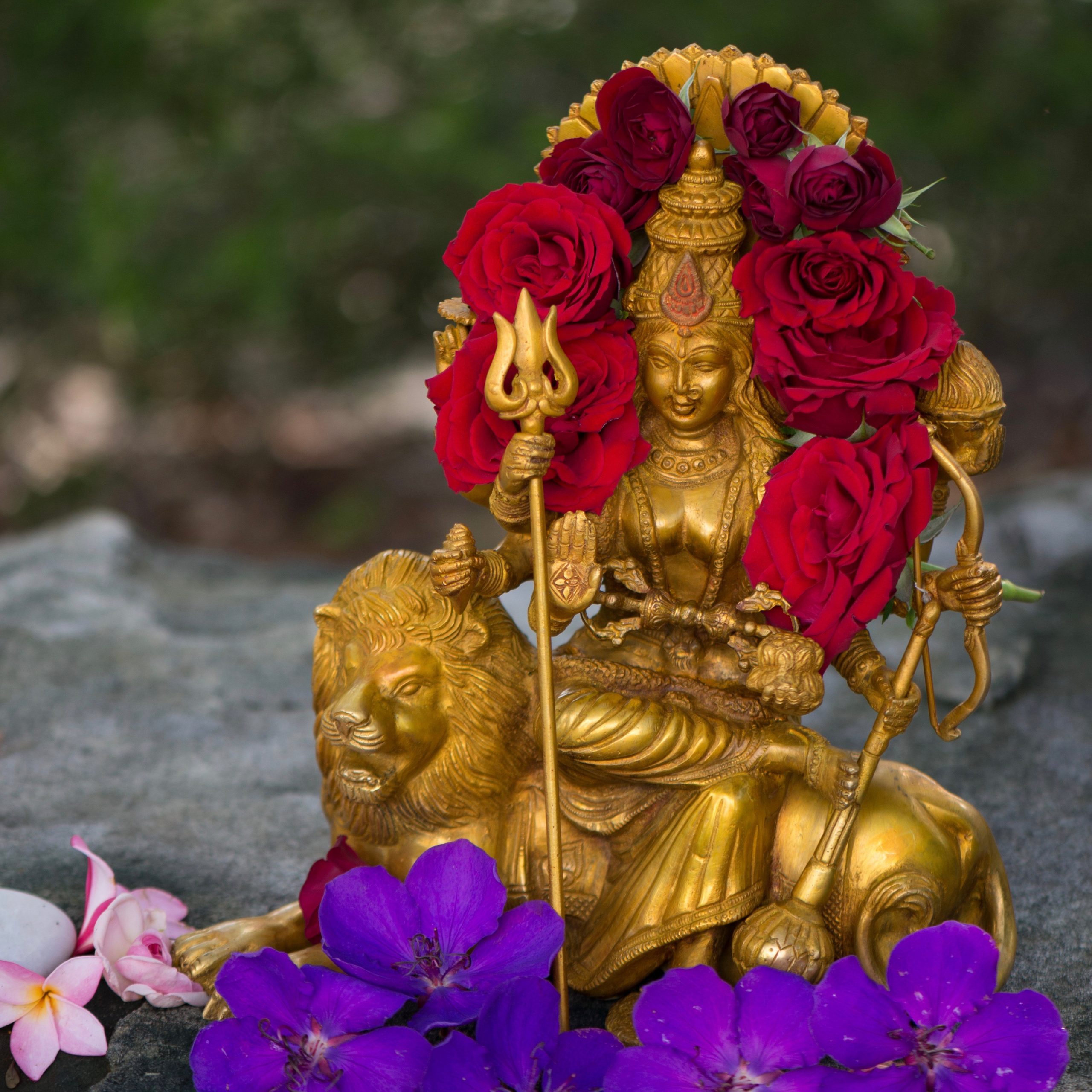 Om Durga Durga Om