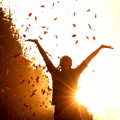 The Virtue of Zeal Meditation