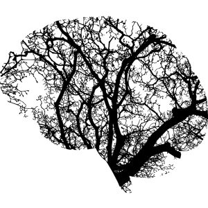 Mental Health Vision Group
