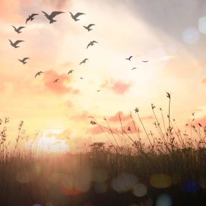 Reaching into your soul meditation