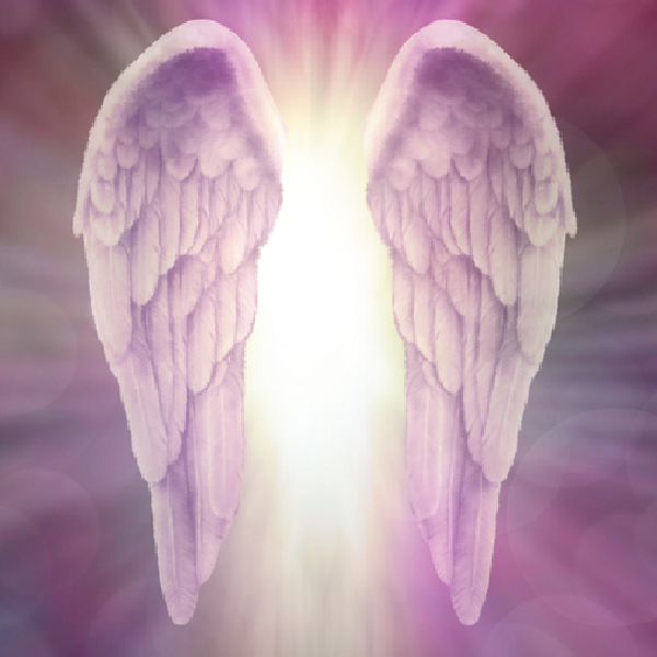 Angelic Studies course Shakti Durga Angelic Studies course Shakti Durga