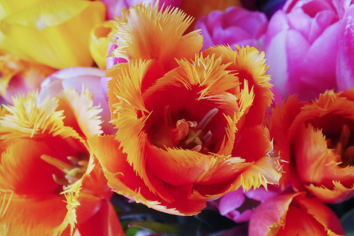 Podcast: Embodying Joy